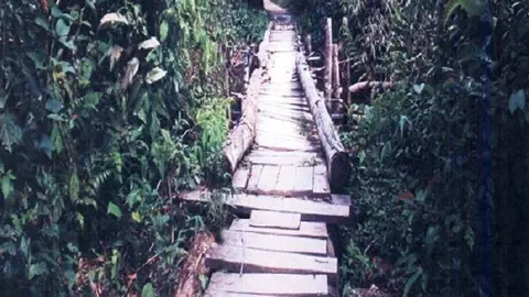 Trocha a campamento ilegal