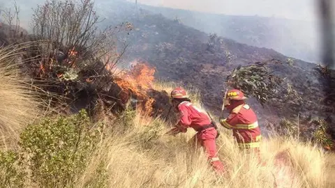 Incendio forestal