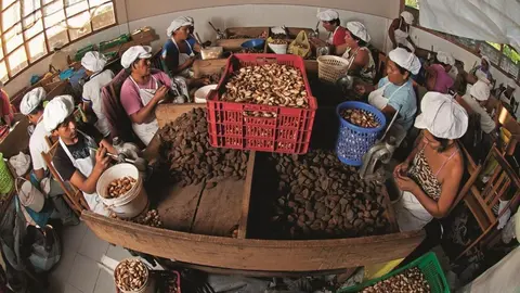Castañeros