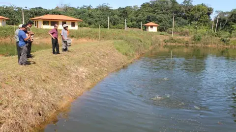 Piscigranjas