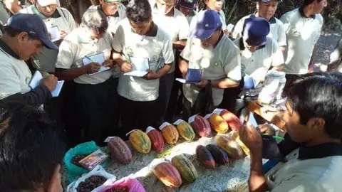 Productores Madre de Dios