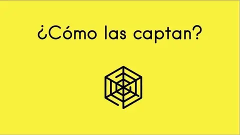 Imagen: Instituto Redes.