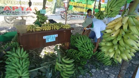 Feria agropecuaria.