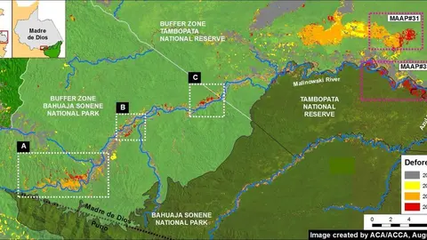 Imagen: Monitoring of the Andean Amazon Project