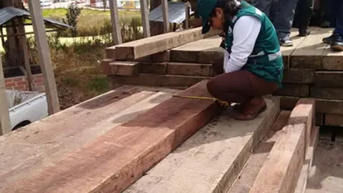 Imagen referencial: Educaciónenred.pe