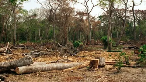 Imagen referencial: diariolaprimeraperu.com