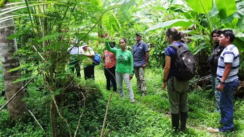 Centro de Innovación Científica Amazónica