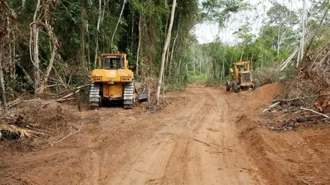 Foto: Gobierno Regional de Madre Dios
