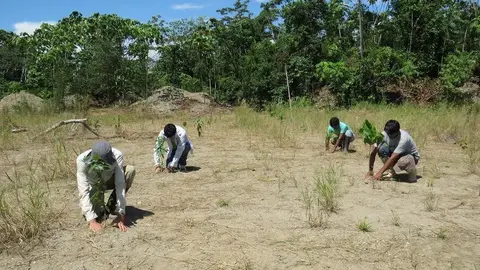 Foto referencial: Instituto de Investigación de la Amazonía Peruana