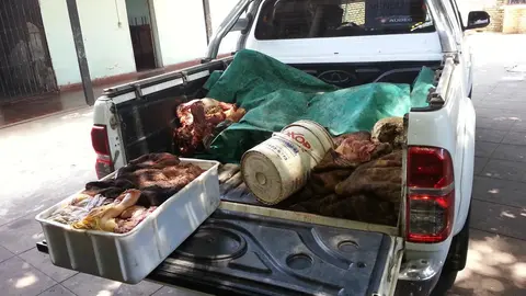 Fotografía referencial