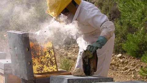 Imagen referencial: directoalpaladar.com