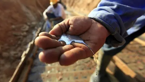 Imagen: El Espectador