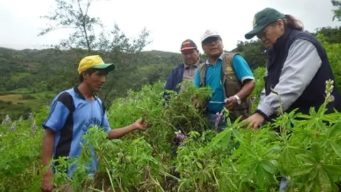 Foto: Agencias Andina
