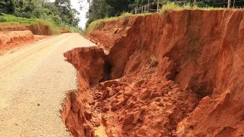 imagen referencial. Fuente: Consejo Regional Madre de Dios