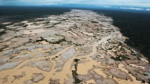 Imagen referencial: Actualidad Ambiental