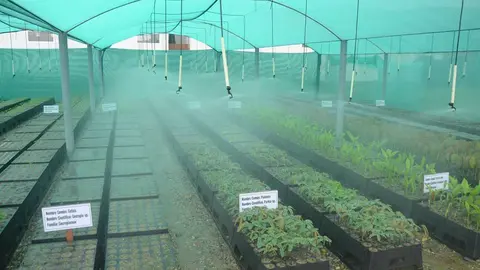 Foto: Municipalidad Distrital de Inambari