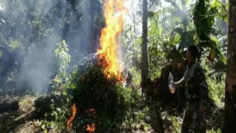 Foto: Región Policial Madre de Dios