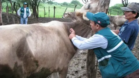 Foto referencial: www.perulactea.com