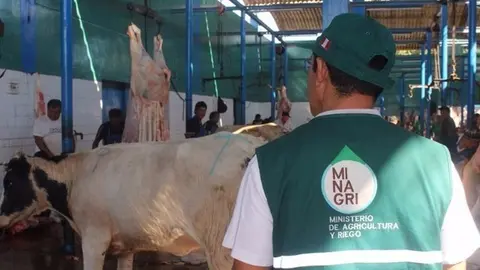 Foto referencial: Minagri