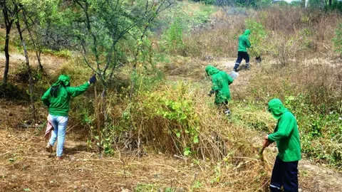 Foto referencial: Agencias Andina