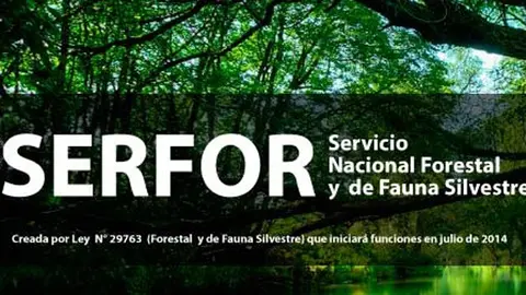 Imagen: Actualidad Ambiental