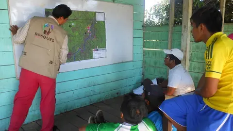 Foto: Programa Bosques
