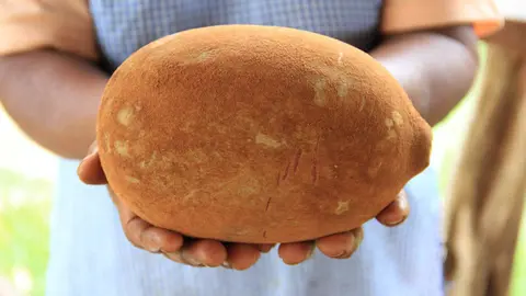 Imagen: http://3.bp.blogspot.com