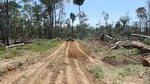 Foto: Marcas de mi tierra