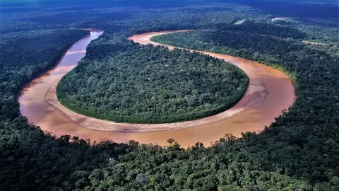 Imagen referencial. Foto: Programa Bosques