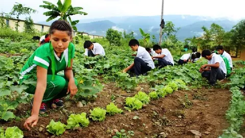 Foto referencial: kerchak.com