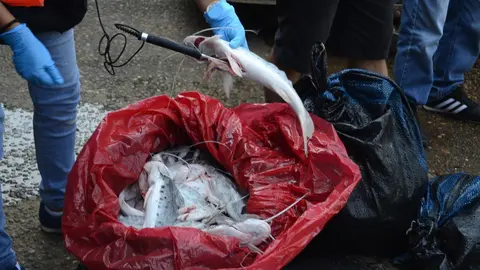 Fuente: Radio Madre de Dios.