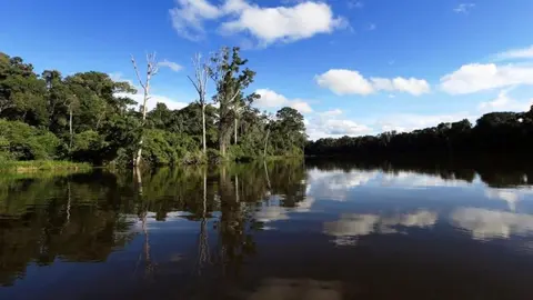 Imagen referencial. Foto: Andina