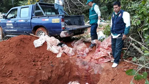 Lo decomisado fue destruido en el Botadero municipal de Planchón. Fuente: Senasa