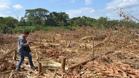 Terreno afectado le pertenece a la familia Medina. Fuente: Radio Madre de Dios.