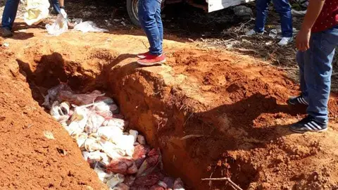 Fuente: SENASA Madre de Dios