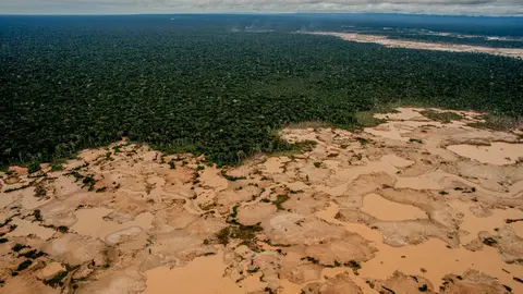 Imagen referencial. Foto: Centro de Innovación Científica Amazónica (CINCIA).