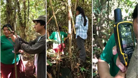 Fuente: Valeria Orsi.