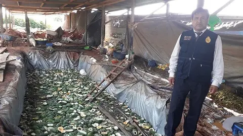 Fuente: Ministerio Público.