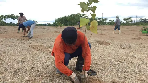 Imagen referencial. Foto: IIAP.