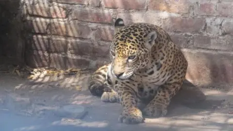 Imagen Referencial. Fuente: El Comercio.