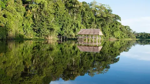 Reserva comunal Amarakaeri. Foto: Andina.
