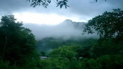 Del 5 al 7 de julio disminuirá la temperatura en la Selva por el quinto friaje del año. Foto: ANDINA/Difusión