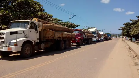 Foto DRFFS Madre de Dios