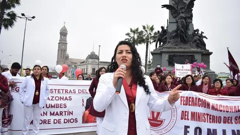Foto: Colegio de Obstetras del Perú.