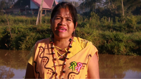 Promotora de la comunidad nativa Arazaria