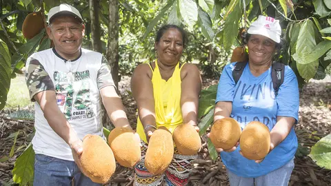 El copoazú y sus derivados son las principales apuestas de la asociación El Progreso de Madre de Dios. Foto: Difusión