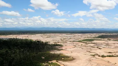 Se presentaron investigaciones científicas de reforestación en la región. Foto: Difusión.