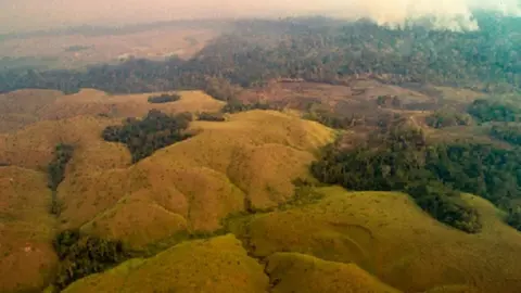 El Centro de Operaciones de Emergencia Regional Madre de Dios señaló que el incendio forestal de grandes proporciones que se registra en Brasil no se ha llegado a la frontera peruana. Foto: Agencia Andina.

