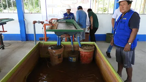 Fortuna Milagritos destierra mercurio en la extracción del oro.