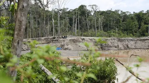 Foto: DRA Madre de Dios.